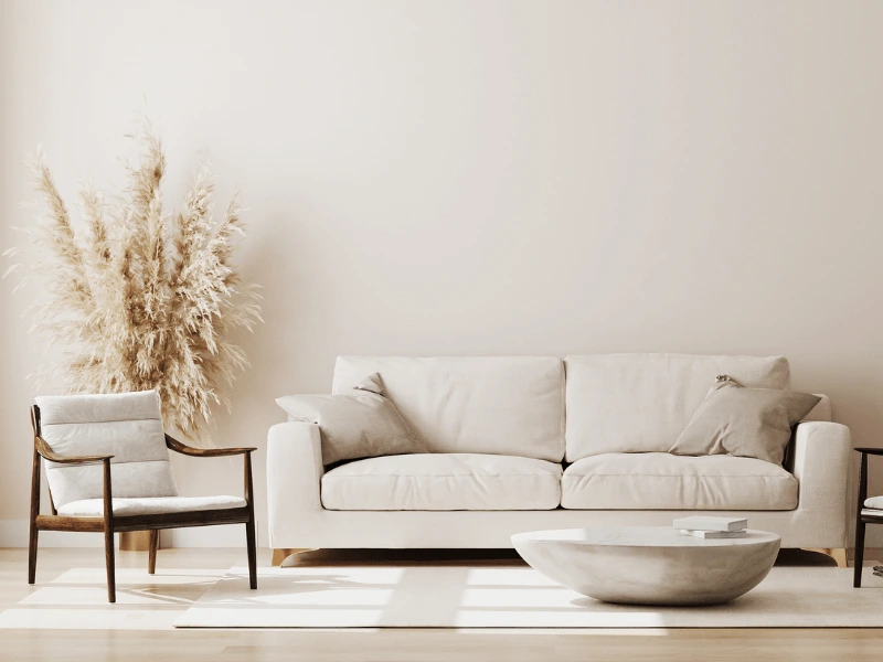 Nettoyage canapé Nice